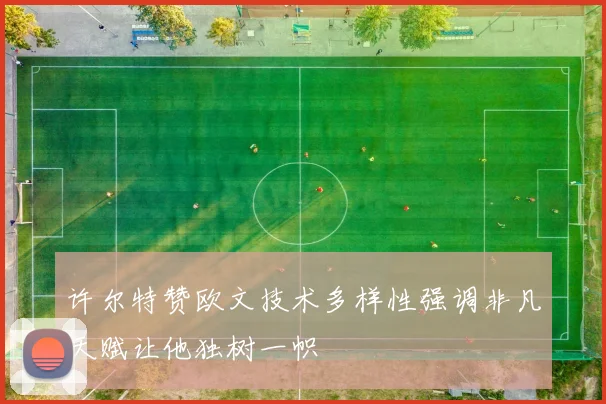 许尔特赞欧文技术多样性强调非凡天赋让他独树一帜