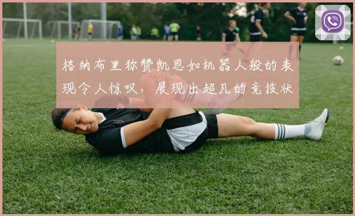 格纳布里称赞凯恩如机器人般的表现令人惊叹，展现出超凡的竞技状态