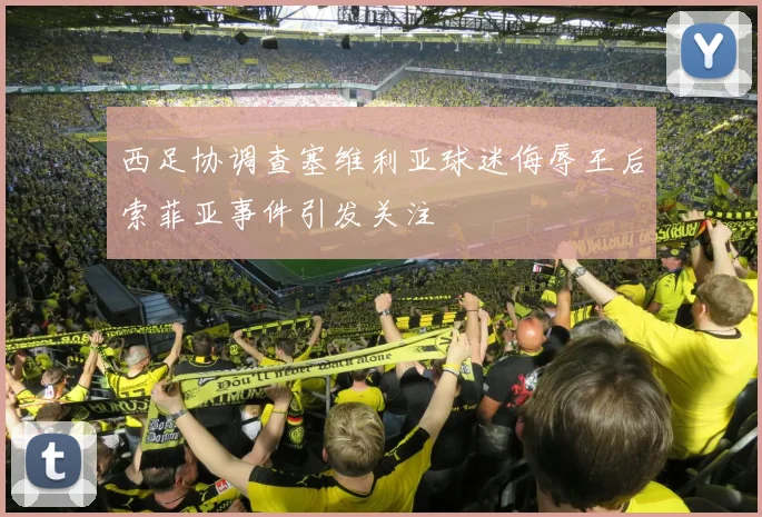 西足协调查塞维利亚球迷侮辱王后索菲亚事件引发关注