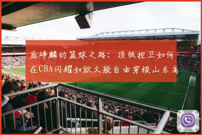 庞峥麟的篮球之路：顶级控卫如何在CBA闪耀如欧文般自由穿梭山东高速