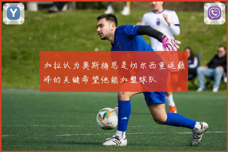 加拉认为奥斯梅恩是切尔西重返巅峰的关键希望他能加盟球队