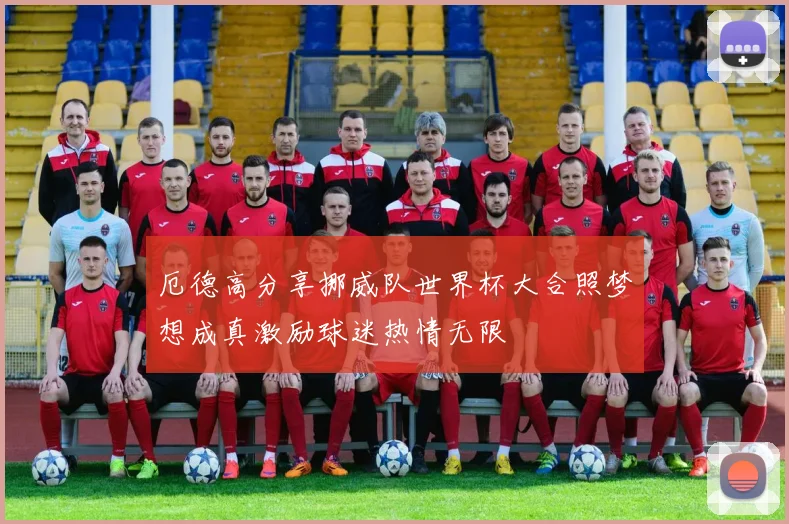 厄德高分享挪威队世界杯大合照梦想成真激励球迷热情无限