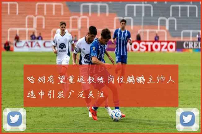 哈姆有望重返教练岗位鹈鹕主帅人选中引发广泛关注
