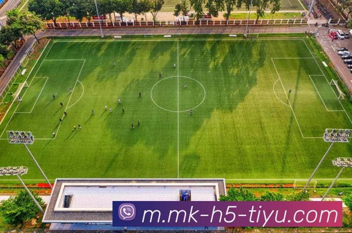 MK体育APP 体育赛事宣传图